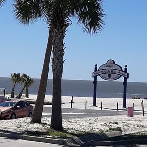 Meet your Posher, Ronnie